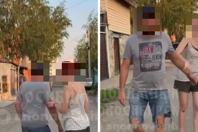 В Новосибирске напали на женщину с собакой