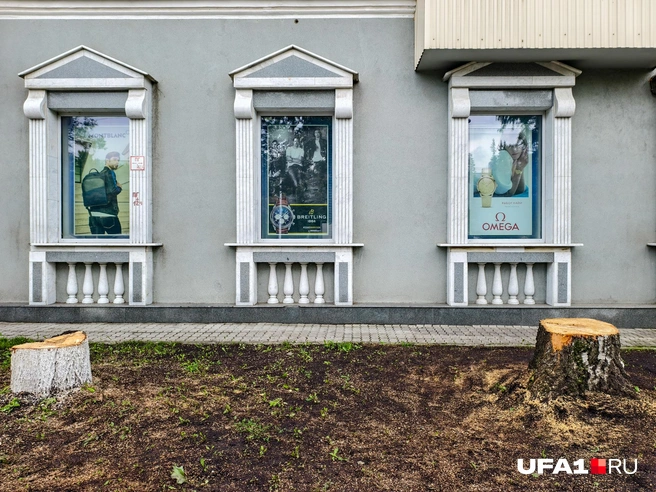 Вот, оказывается, какие окна здесь были | Источник: Булат Салихов / UFA1.RU