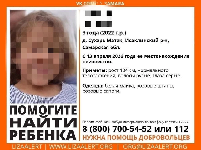 Волонтеры поискового отряда «ЛизаАлерт» распространили ориентировку. Они просят помощи добровольцев. | Источник: «ЛизаАлерт»