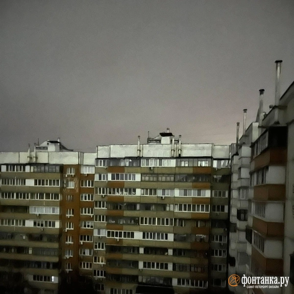 Источник: Кира Зубкова / «Фонтанка.ру»