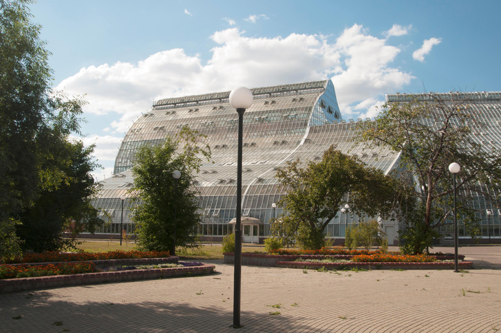 Ботанические сады Москвы: где полюбоваться растениями в столице