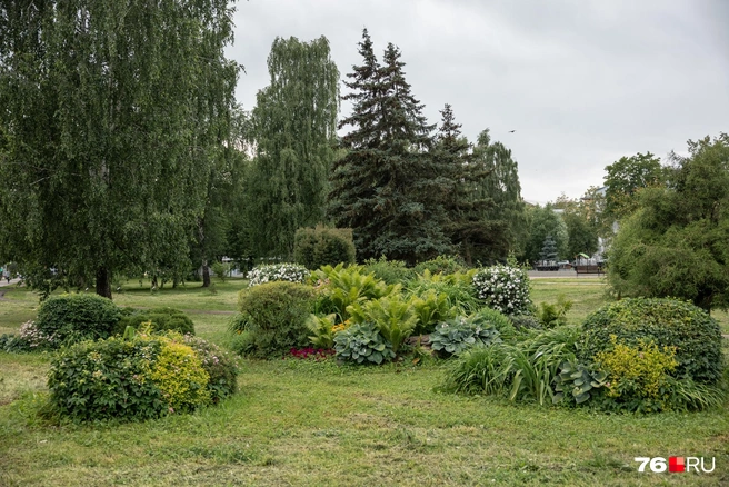 Зато на входе в парк&nbsp;— роскошное озеленение | Источник: Александр Куренной / 76.RU