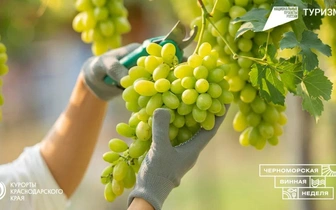 Черноморская винная неделя: искусство душевного отдыха в сердце Краснодарского края