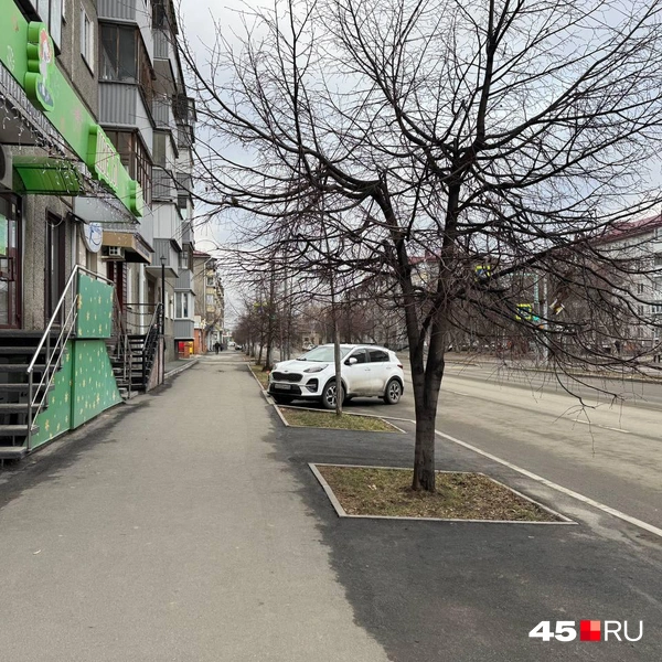 Кое-где даже зеленеет трава | Источник: Юлия Король/ 45.RU