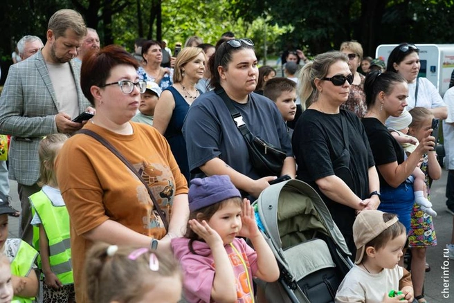 Источник: st.cherinfo.ru