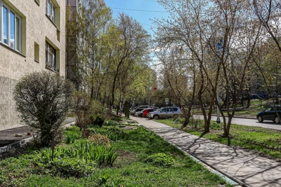 Красная карта Нижнего Новгорода: виновата пыльца, а не пробки