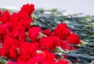Россиянка умерла на могиле сына, погибшего на СВО: как справиться с горем от потери ребенка