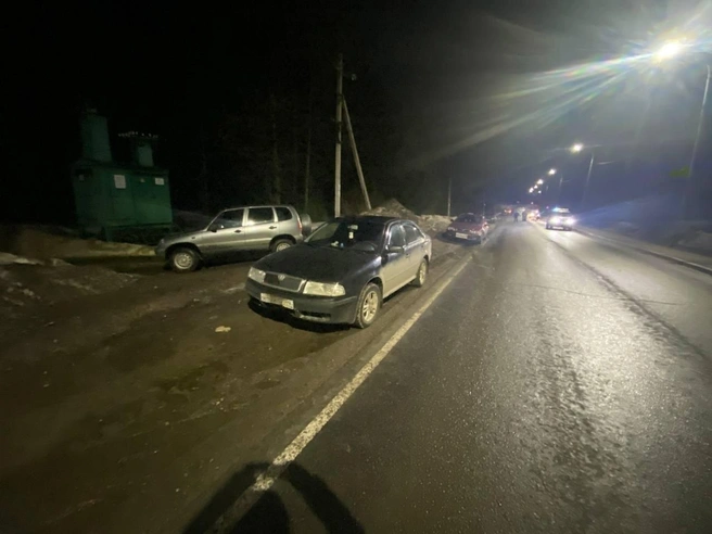 ДТП произошло на 130&nbsp;км 25 м автодороги «Долматово-Няндома-Каргополь-Пудож» | Источник: Госавтоинспекция Архангельской области