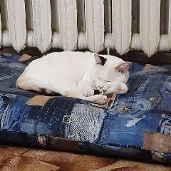 Чтобы тепло дошло до квартир, управляющие компании должны открыть краны в подвалах | Источник: www.city-n.ru