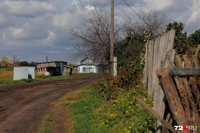 В небольших деревнях Викуловского района многие из жителей держали свиней | Источник: Ирина Шарова / 72.RU