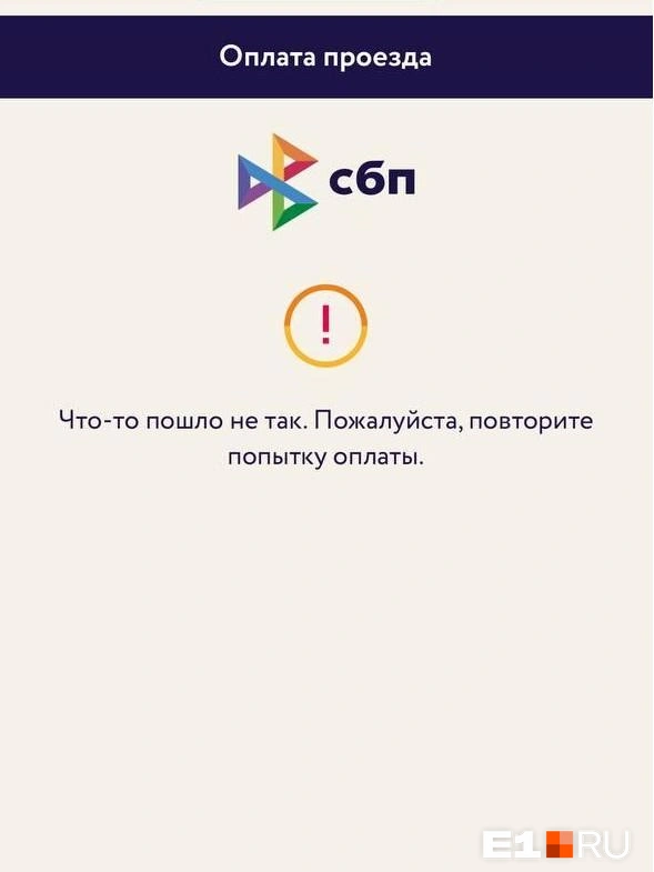 Пассажиры столкнулись со сбоем | Источник: читатель E1.RU