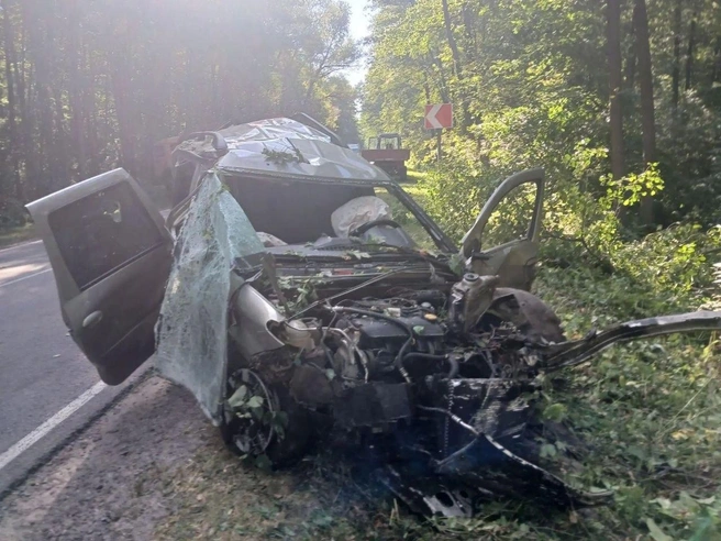 Мужчина и женщина погибли в ДТП в Воронежской области: водитель не справилась с управлением | Источник: ГУ МВД России по Воронежской области / t.me/mvd36