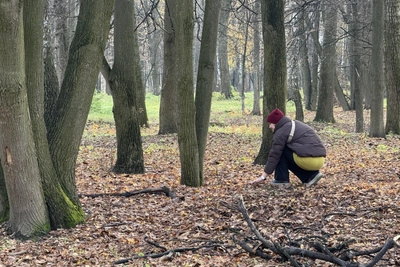Стадион ЦСК интегрируют в рязанский ЦПКиО