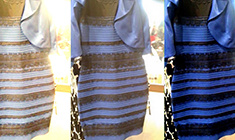 Какого цвета платье? Об этом спорят до драк