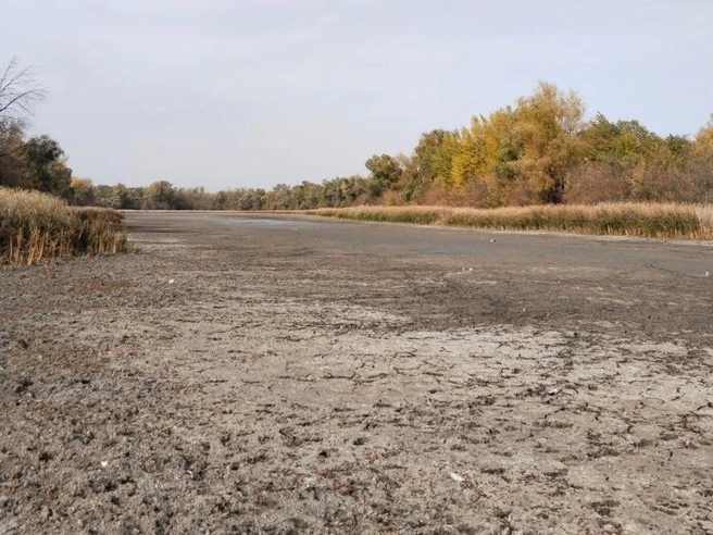 Ситуация на острове, по словам жителей, никак не меняется | Источник: О Волгограде Сталинграде / Telegram