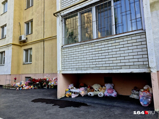 К дому продолжают нести цветы и игрушки в память о погибших | Источник: Виктория Федорова / 164.RU