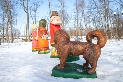 Морозы и северный ветер в Ростове 19 января