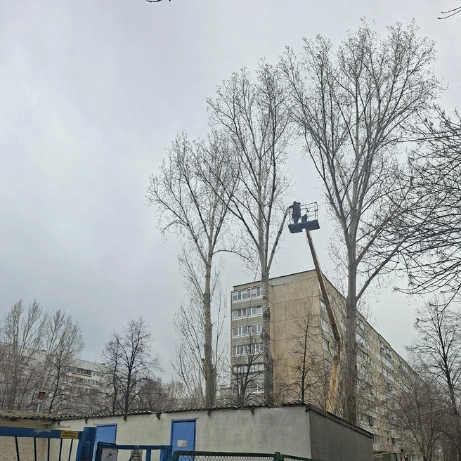 Источник: ugd.ru