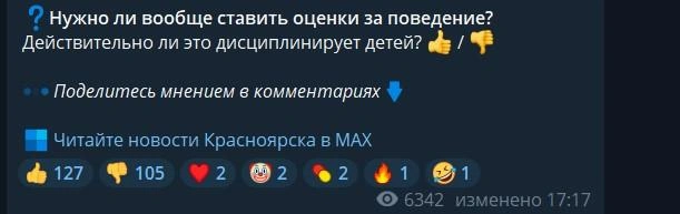 Вот так люди голосовали реакциями | Источник: NGS24.RU / Telegram