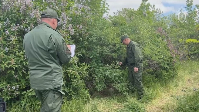 «Это ж не первая жертва была». Девочку-подростка подозревают в жестоком убийстве ребенка в Бердянске | Источник: СК РФ