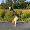 userpic__legenda2007