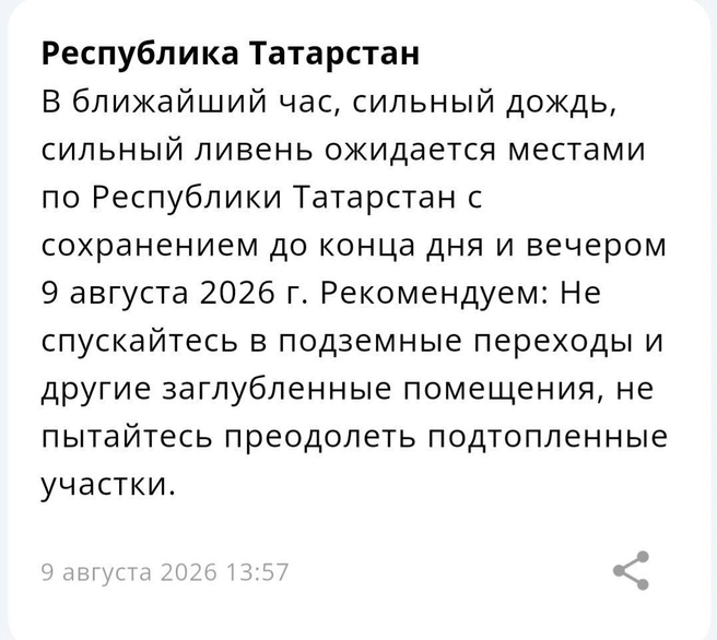 Источник: МЧС по РТ 