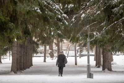 Тепло вернется в Новосибирскую область после морозов