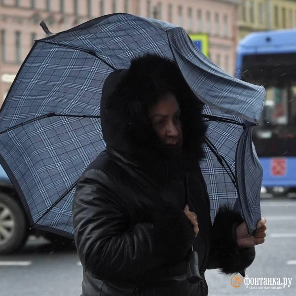 Источник: Павел Даиси / «Фонтанка.ру»