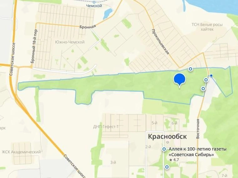 Вот так лесопарк Синягина выглядит с высоты на карте города  | Источник: скриншот 2gis.ru