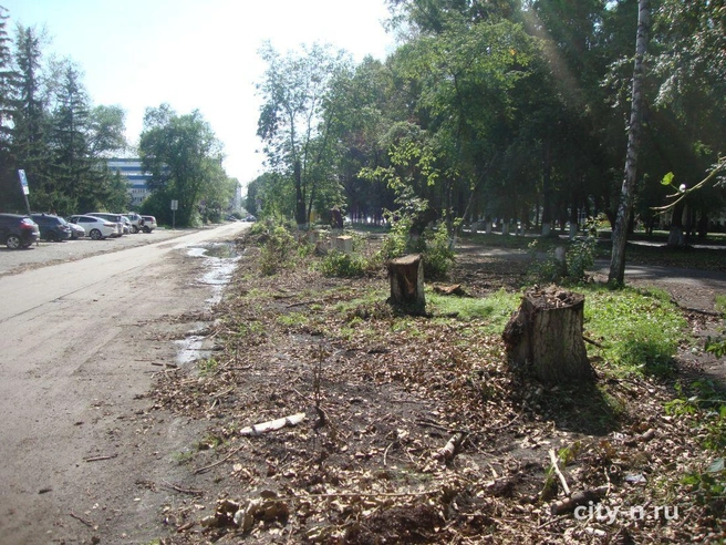 Источник: city-n.ru