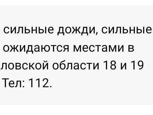 Информацию о непогоде распространило МЧС | Источник: читатель E1.RU