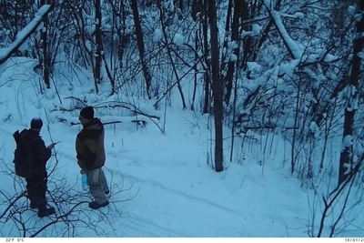 В лесу Петербурга задержали браконьеров