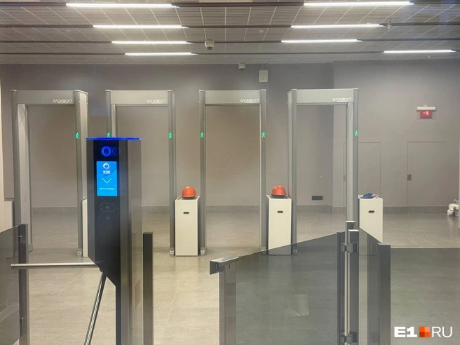 Источник: Анастасия Баранова / E1.RU