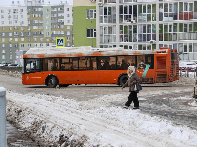Из-за снежных заносов ряд автобусов временно сократил свои маршруты | Источник: Наталья Бурухина / NN.RU