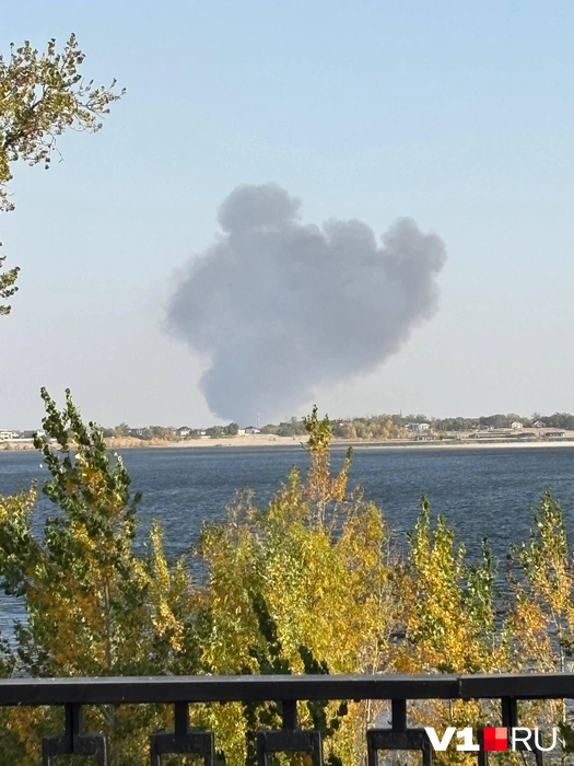 Источник: читатели V1.RU