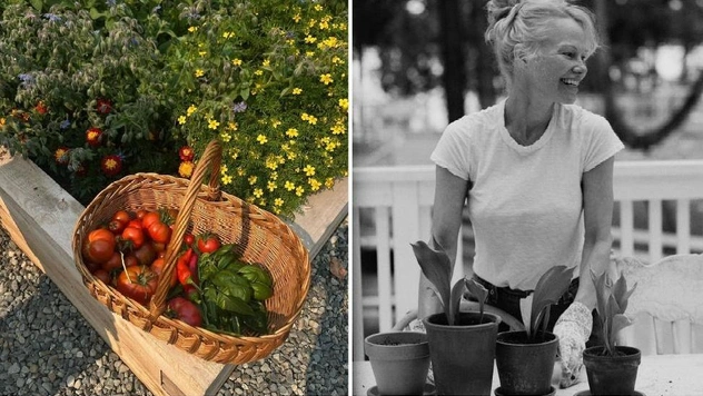 Бери и делай: высокие грядки, как у Памелы Андерсон