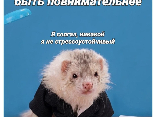 Когда эмоции переполняют | Источник: Полина Авдошина / Городские медиа
