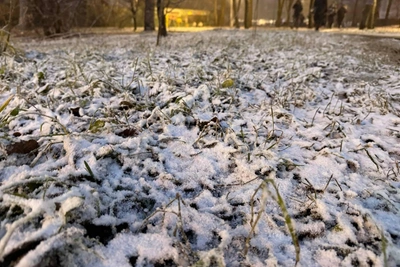 В Москву вернется аномальное тепло после холодов