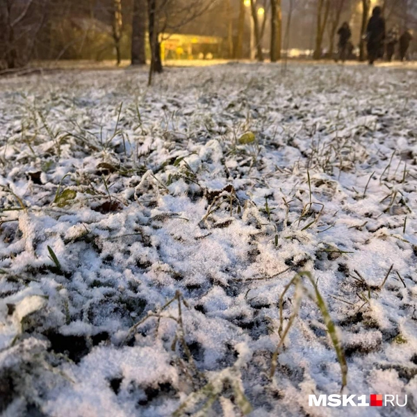 Источник: Артем Устюжанин / MSK1.RU