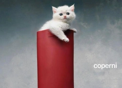 Coperni и котики: самая трогательная модная реклама 2023