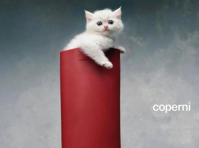 Coperni и котики: самая трогательная модная реклама 2023