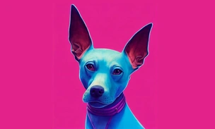 Ксолоитцкуинтли: история и особенности мексиканской породы собак, ставшей символом Дня мертвых