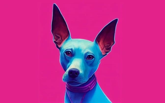 Ксолоитцкуинтли: история и особенности мексиканской породы собак, ставшей символом Дня мертвых