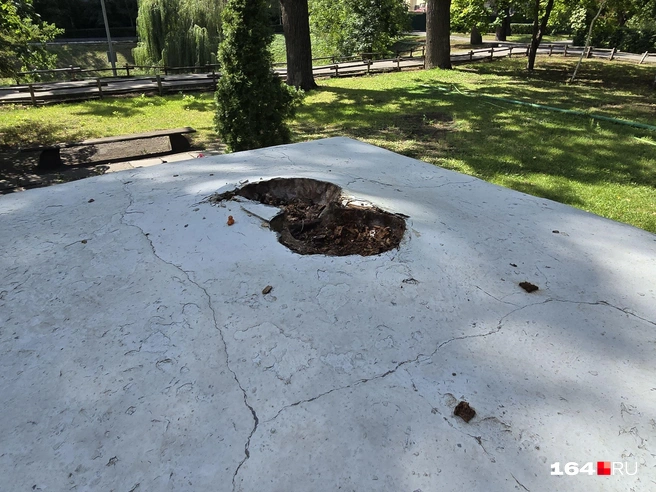 Статуя по непонятной причине оказалась вырвана с корнем | Источник: Семен Коротов-Майбах / 164.RU