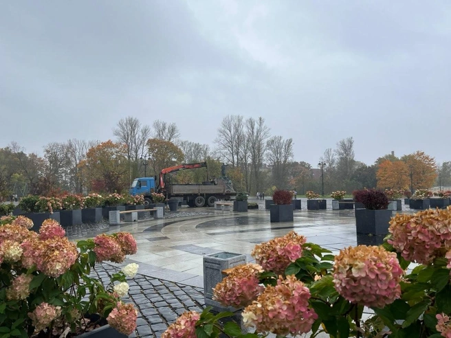 Сад-трансформер в Кронштадте расселили по зимним «квартирам» | Источник: Телеграм-канал Сергея Петриченко