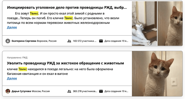 Против проводницы, выбросившей кота Твикса, завели уголовное дело