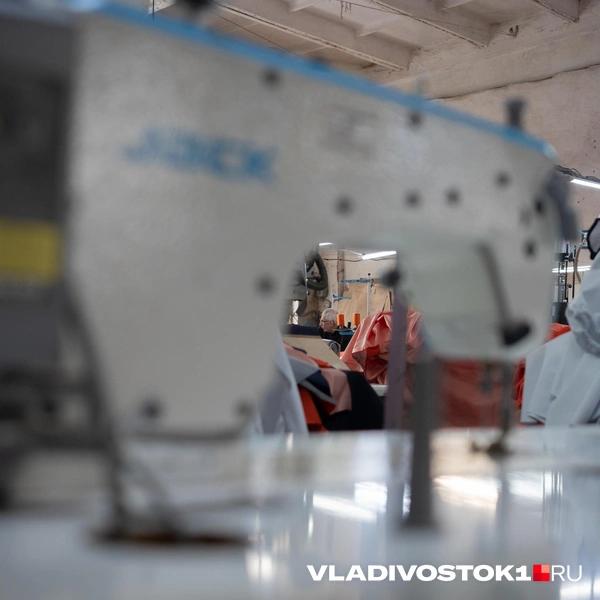 Источник: Елена Буйвол / VLADIVOSTOK1.RU