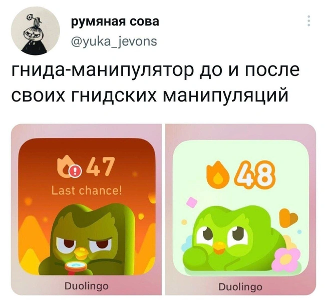 Лучшие мемы про маниакальную сову Duolingo