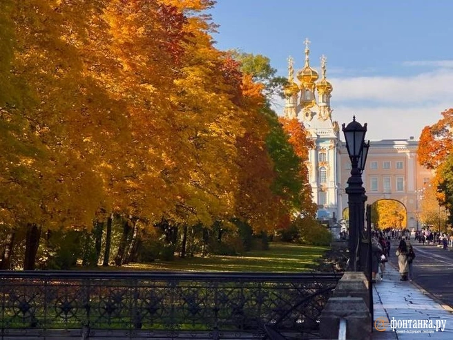 Первые по-настоящему золотые осенние выходные. Лайфхаки для прогулок по Пушкину | Источник: Лада Шаталова / читательница «Фонтанки»