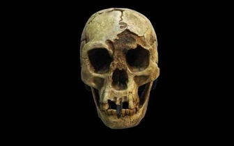 Последний след «хоббитов»: как климат и вулканы изменили их мир